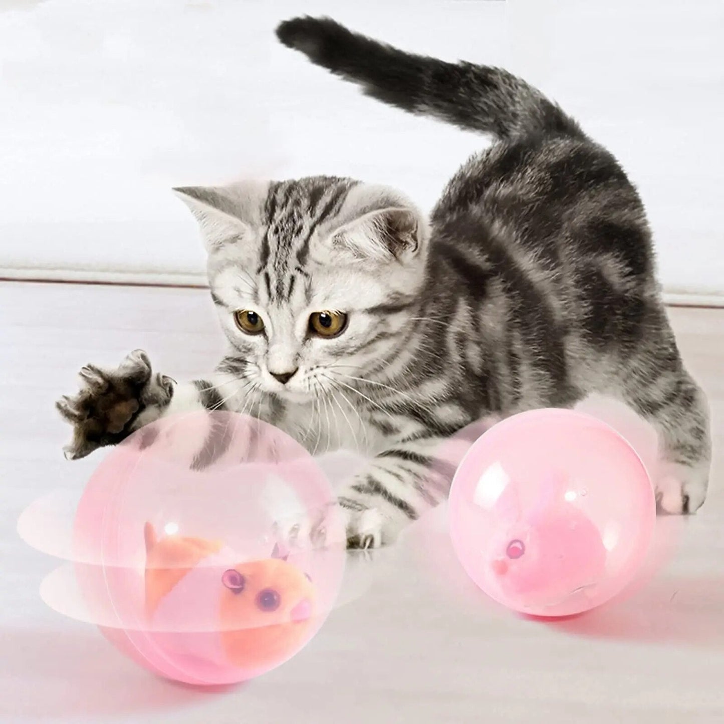 Abby | Interactieve spelbal voor honden en katten-1