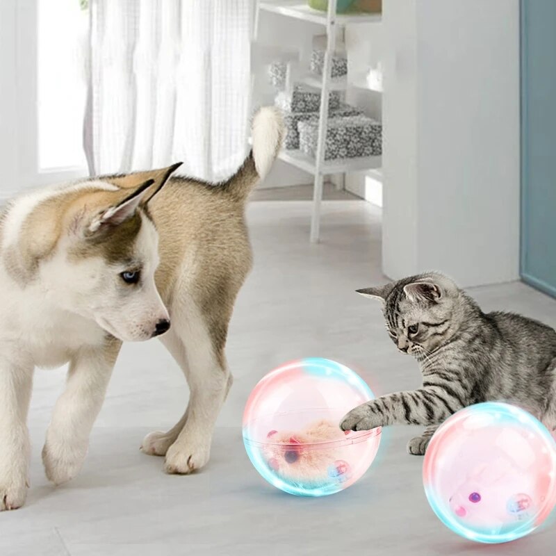 Abby | Interactieve spelbal voor honden en katten-2