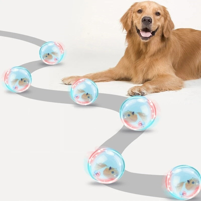 Abby | Interactieve spelbal voor honden en katten-4