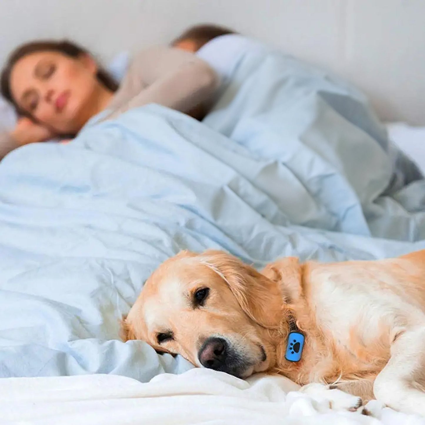 Automatische anti-blaf halsband voor honden | Toby