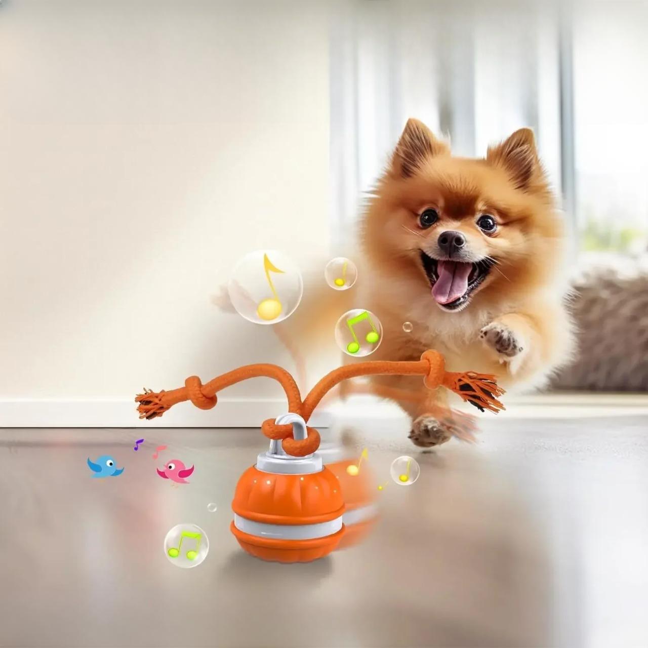 Blaze hondenspeelbal | Interactieve speelbal die honden actief bezighoudt