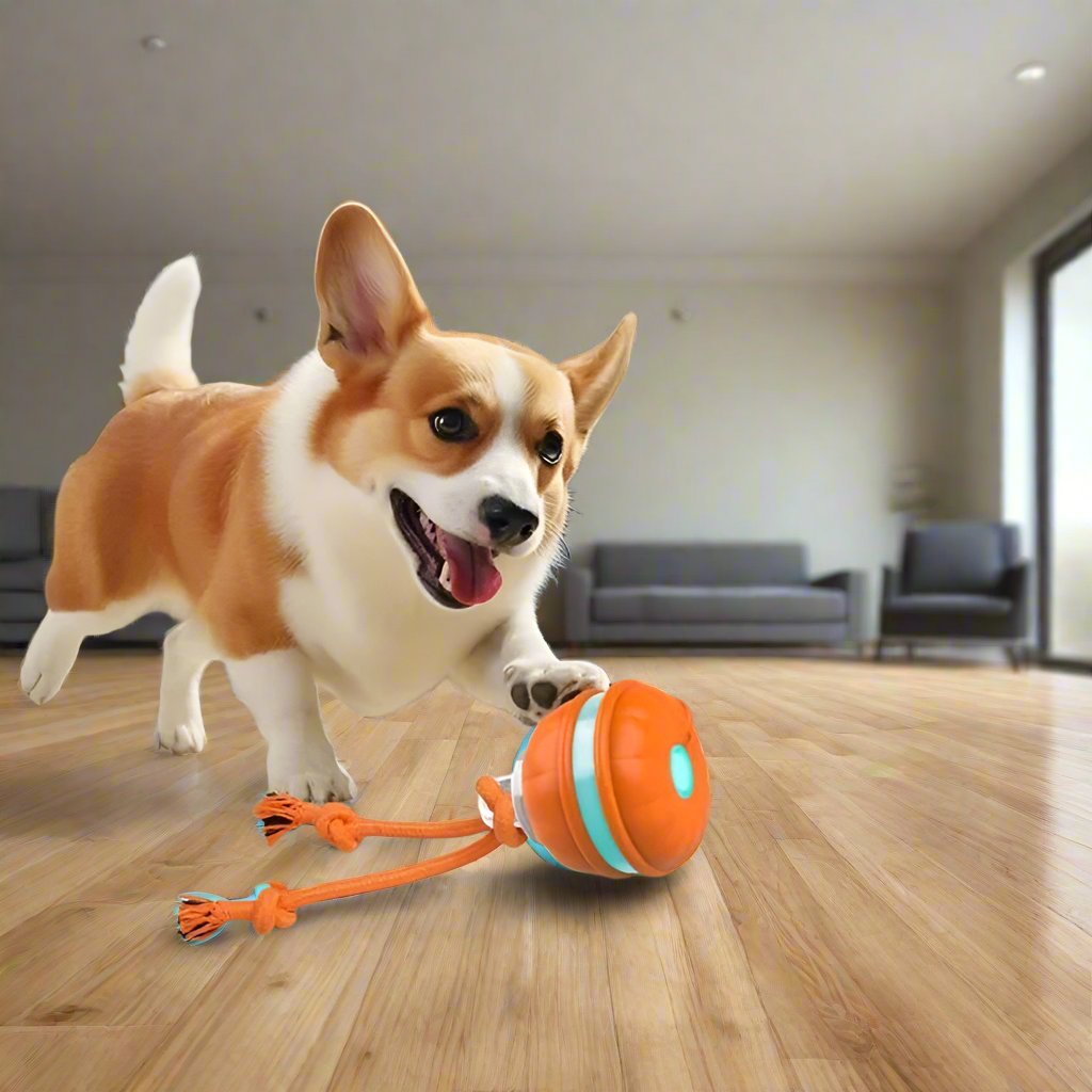 Blaze hondenspeelbal | Interactieve speelbal die honden actief bezighoudt