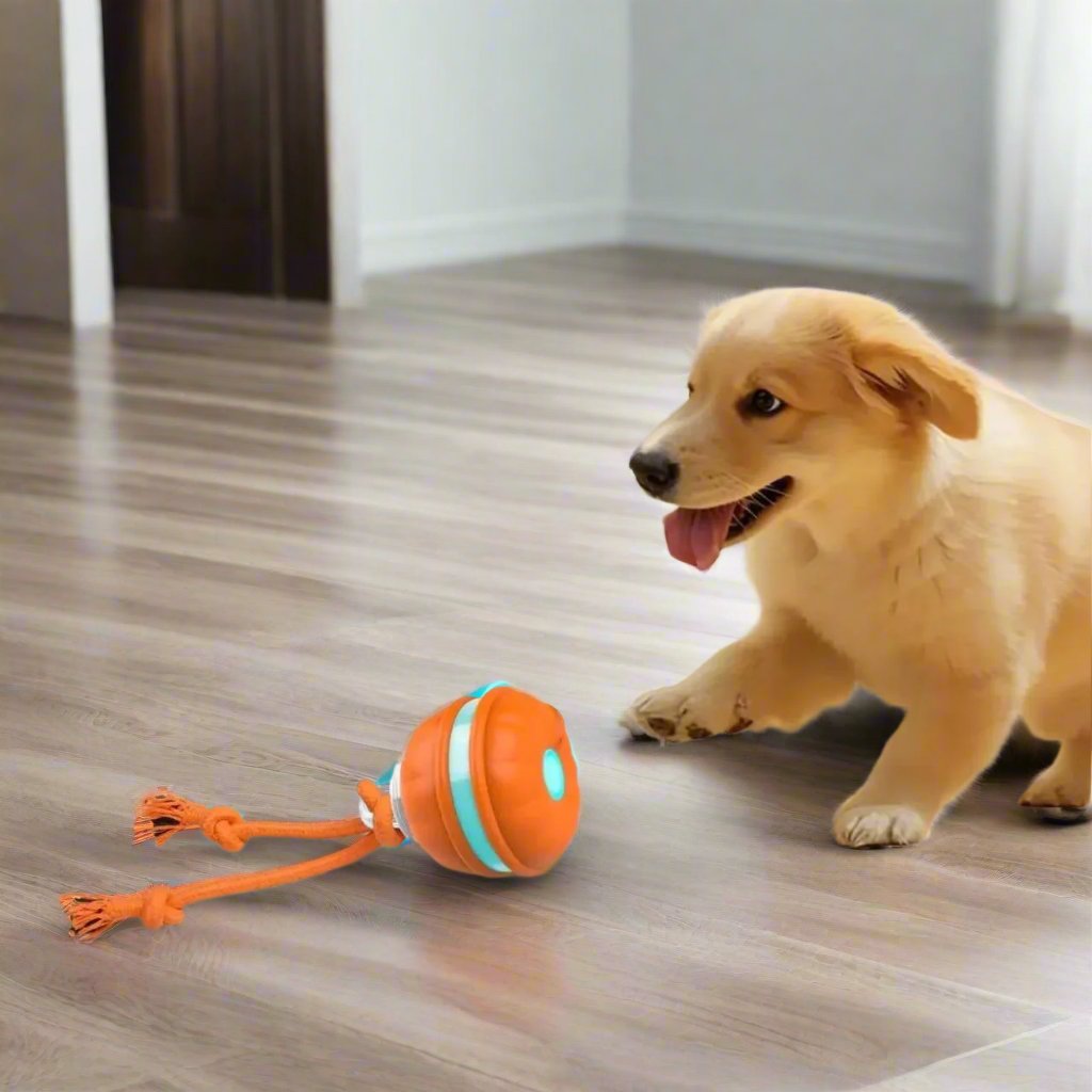 Blaze hondenspeelbal | Interactieve speelbal die honden actief bezighoudt