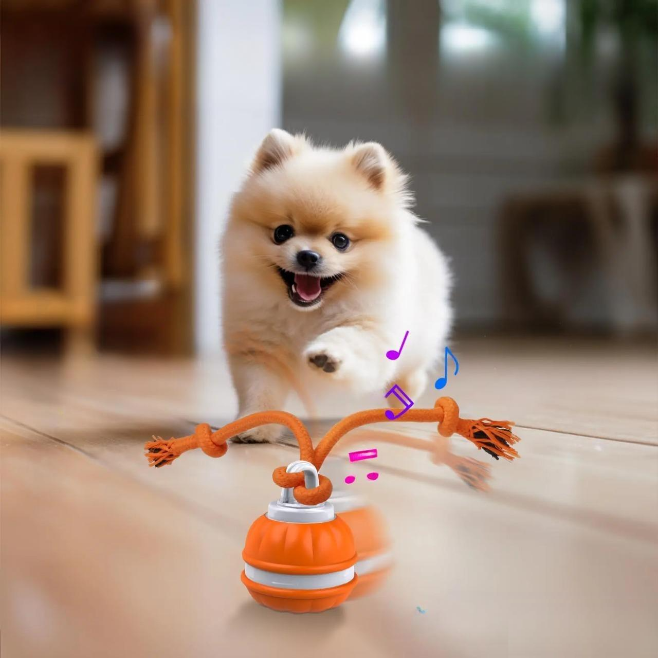 Blaze hondenspeelbal | Interactieve speelbal die honden actief bezighoudt
