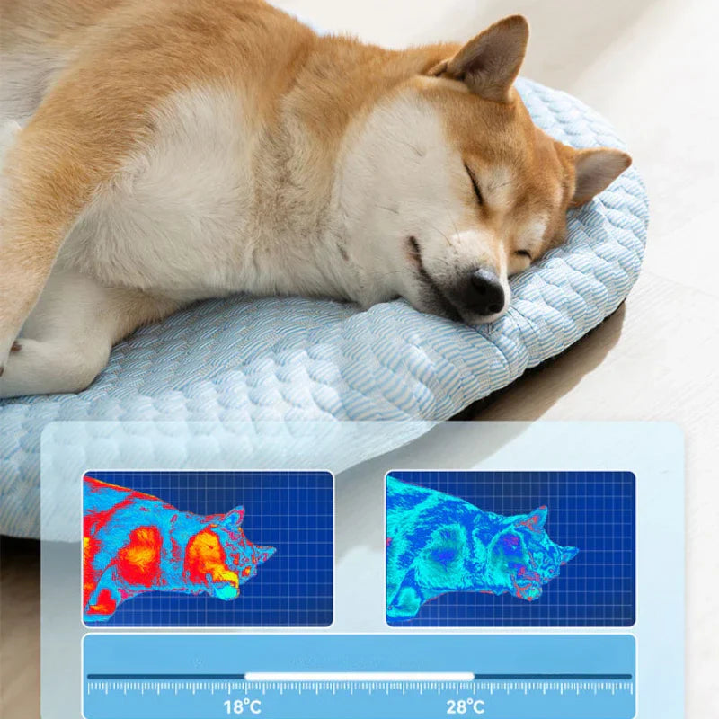 Blue | Honden koelmat voor stressverlichting-3