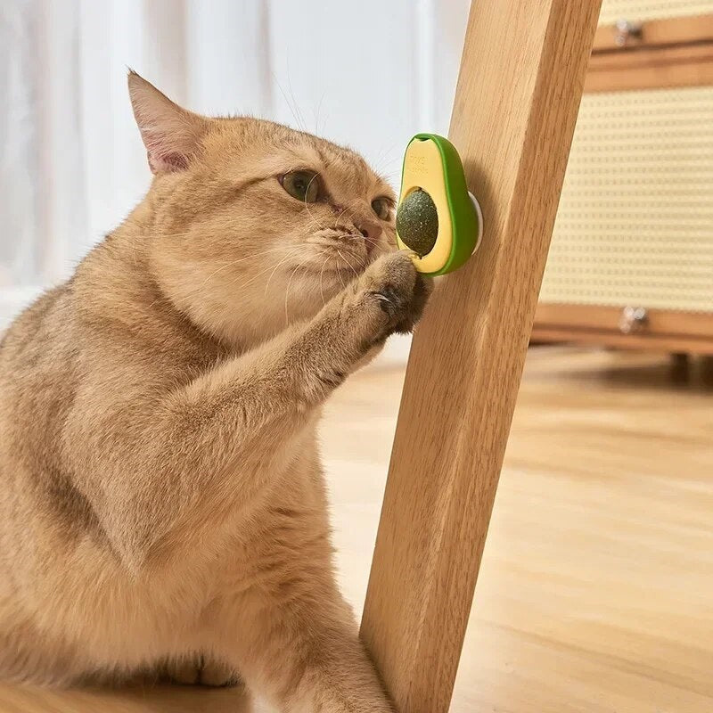 Bobi | Interactief kattenspeelgoed met kattenkruid en zuignap