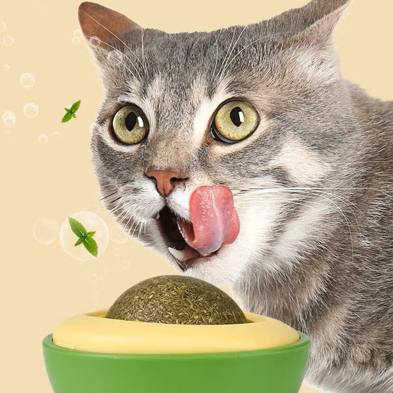 Bobi | Interactief kattenspeelgoed met kattenkruid en zuignap