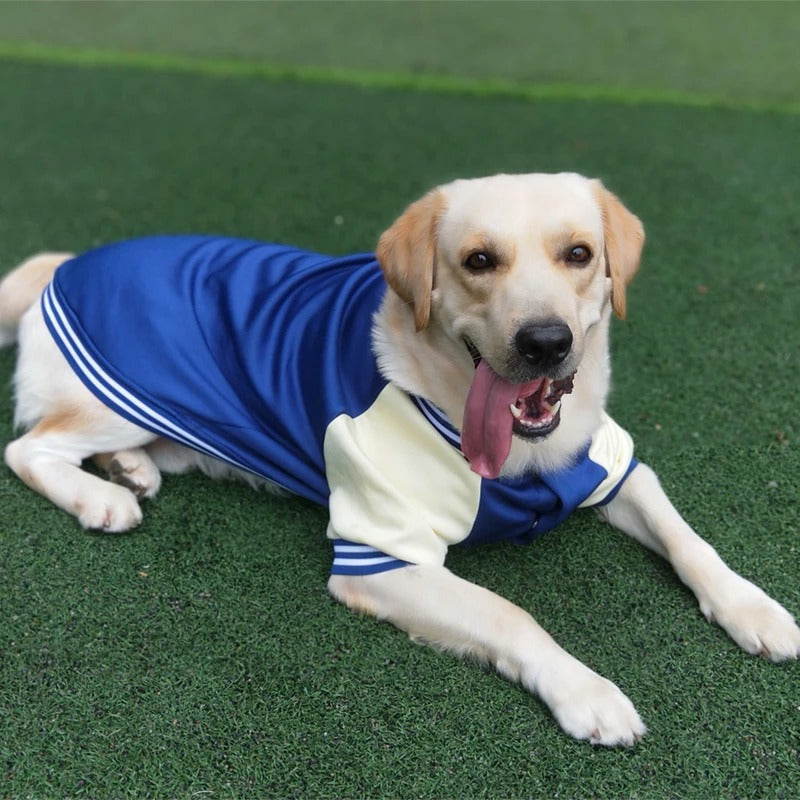 Bowie Hondenjas Met Sportieve Look