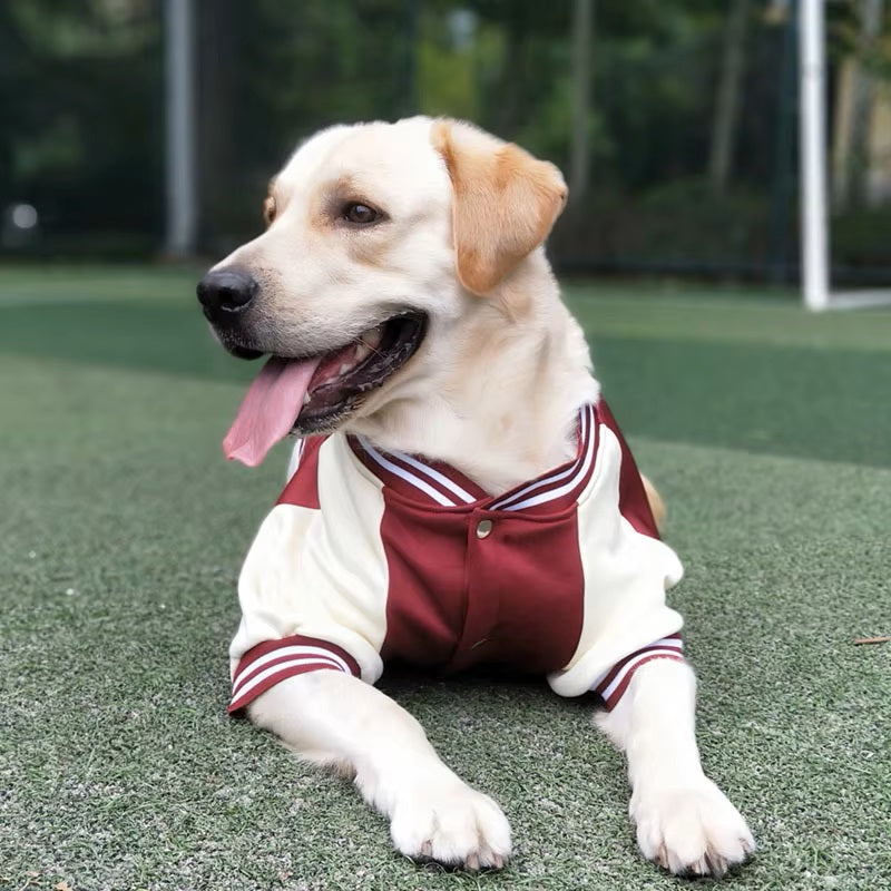 Bowie Hondenjas Met Sportieve Look