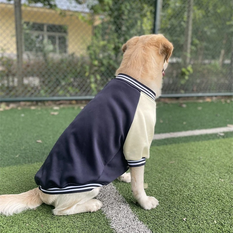 Bowie Hondenjas Met Sportieve Look