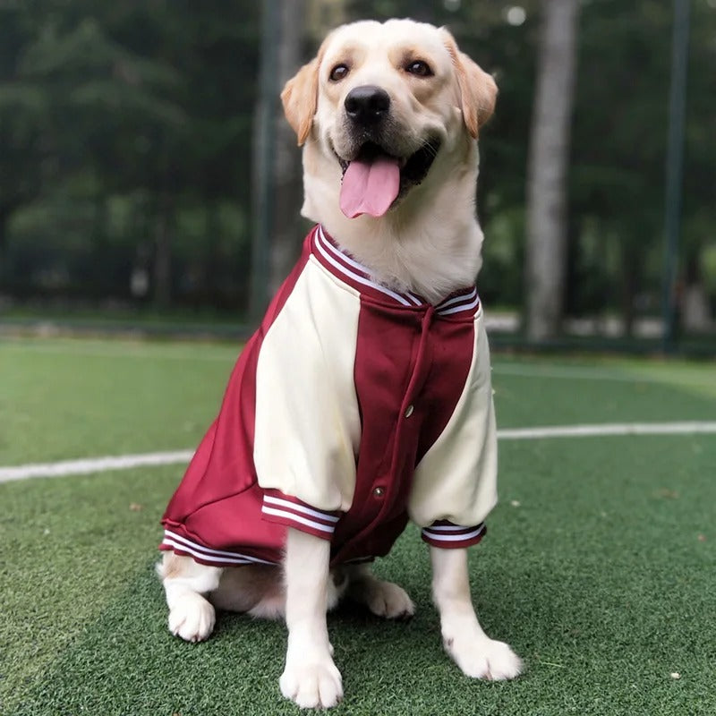 Bowie Hondenjas Met Sportieve Look