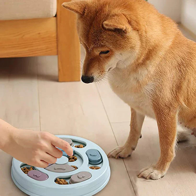 Brix | Interactieve hondenpuzzel voor plezier en trainen
