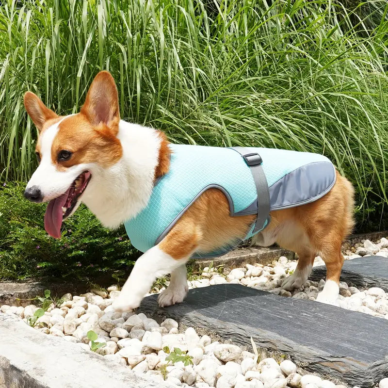 Chloe | Hondenkoelingsvest Voor Zomerplezier-1