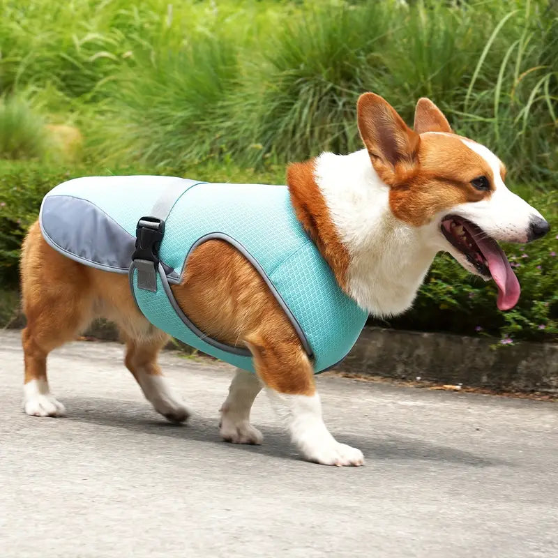 Chloe | Hondenkoelingsvest Voor Zomerplezier-5
