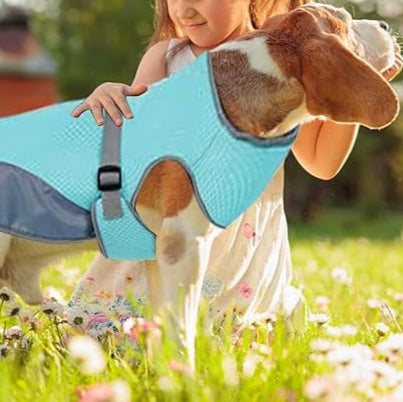 Chloe | Hondenkoelingsvest Voor Zomerplezier-3