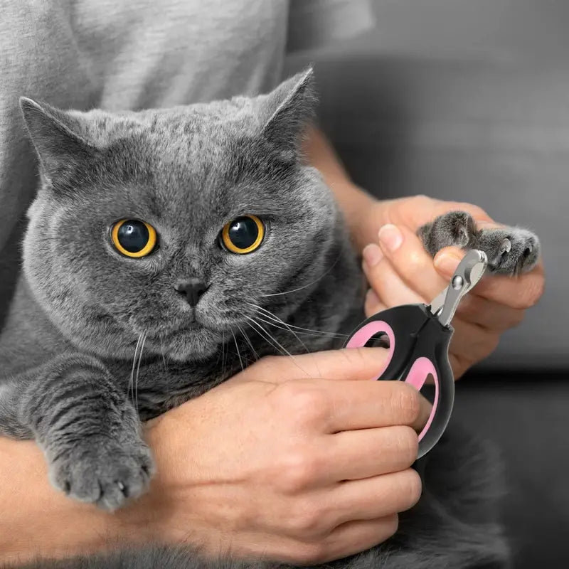 Daise | Nagelknipper voor katten met precisiegat en nauwkeurige snede