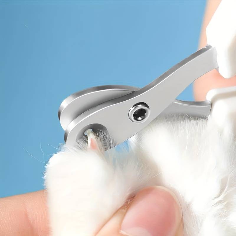 Daise | Nagelknipper voor katten met precisiegat en nauwkeurige snede