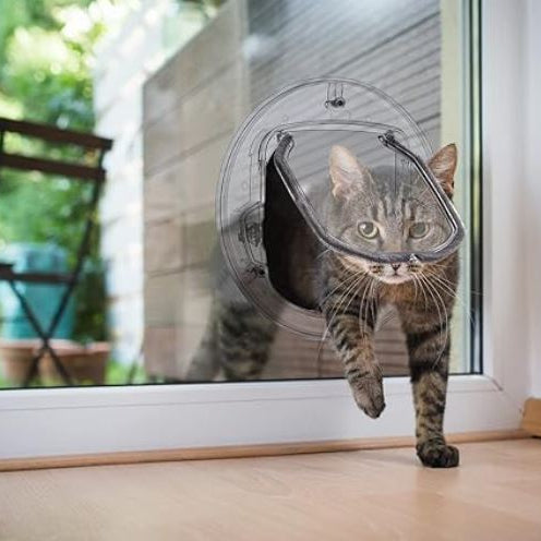 Daisy | Transparante Kattenluik