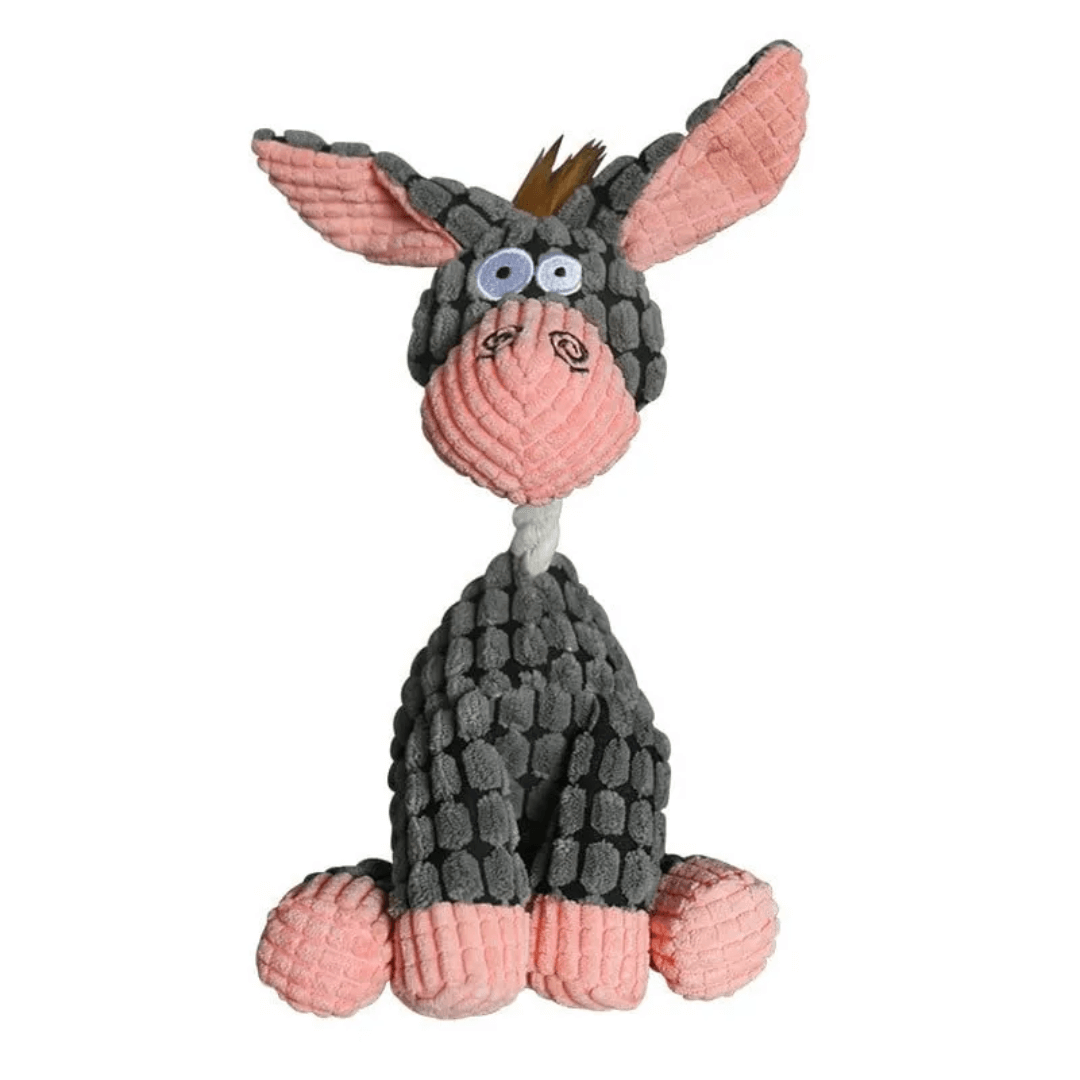 Variant image for Dotje | Kauwspeelgoed Voor Honden Met Tandverzorging-2