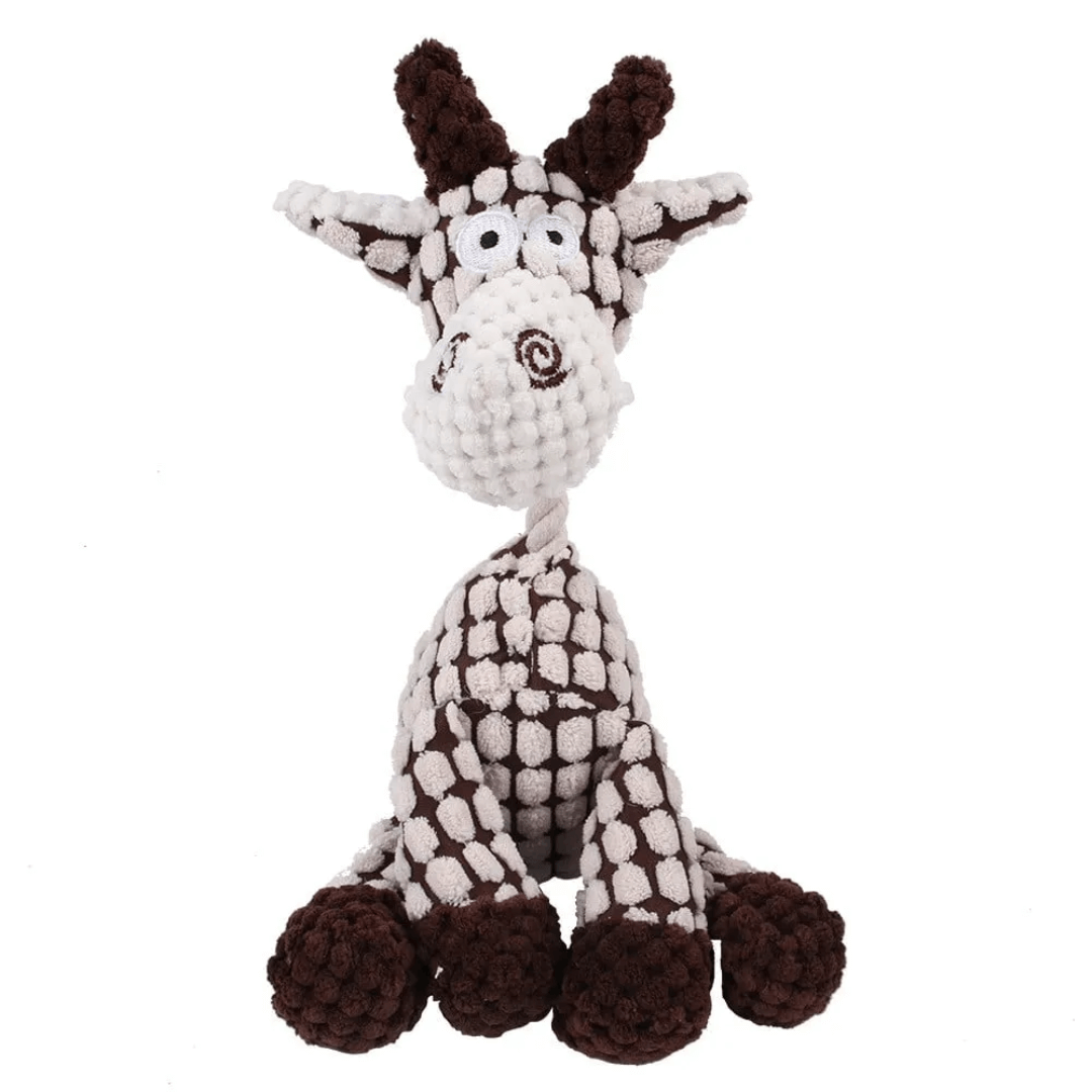 Variant image for Dotje | Kauwspeelgoed Voor Honden Met Tandverzorging-3