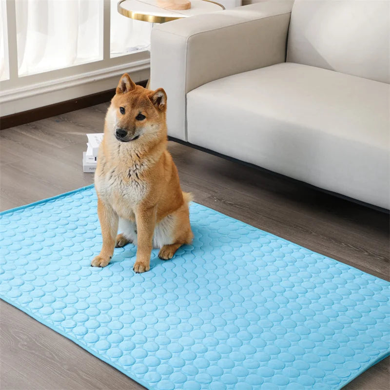 Variant image for Paul | Honden koelmat voor optimale koeling-1