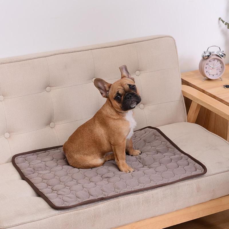 Paul | Honden koelmat voor optimale koeling-2