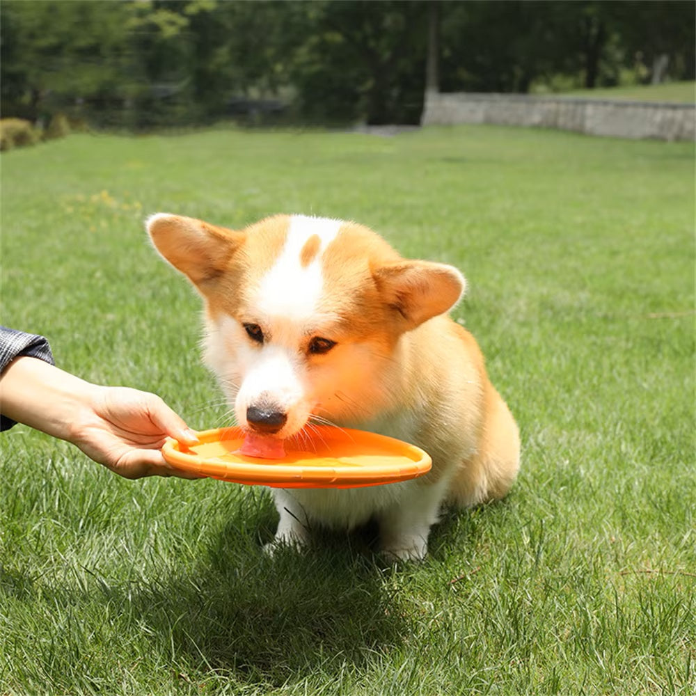 Felix | Actieve Hond Frisbee Voor Eindeloos Plezier-3