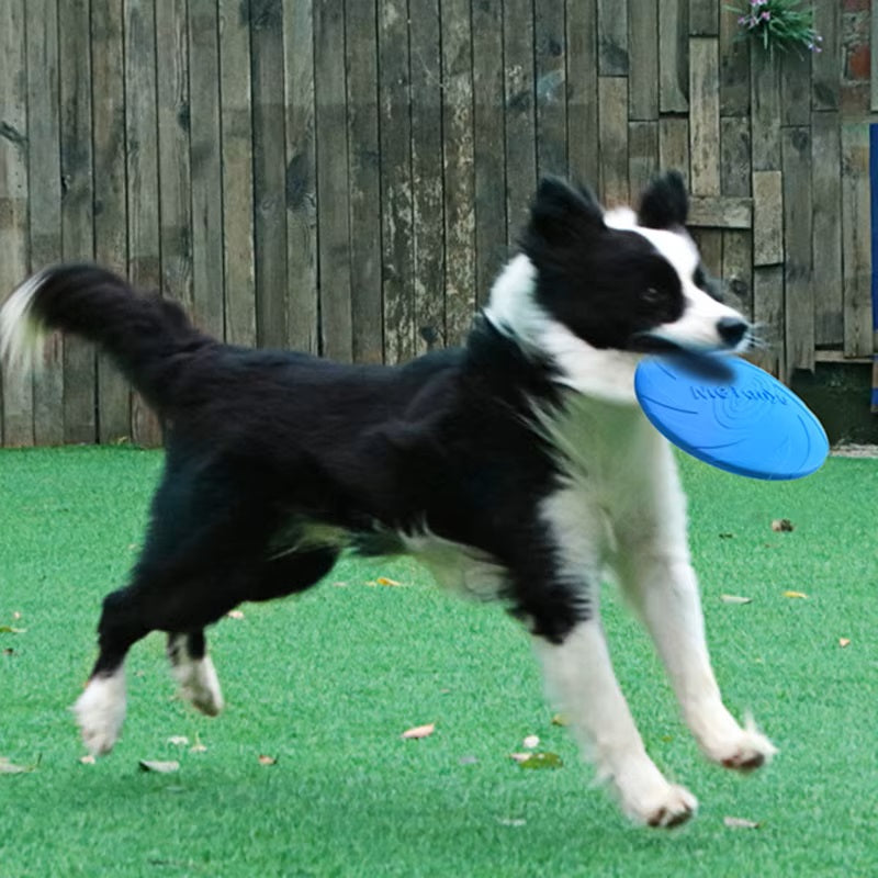 Felix | Actieve Hond Frisbee Voor Eindeloos Plezier-4