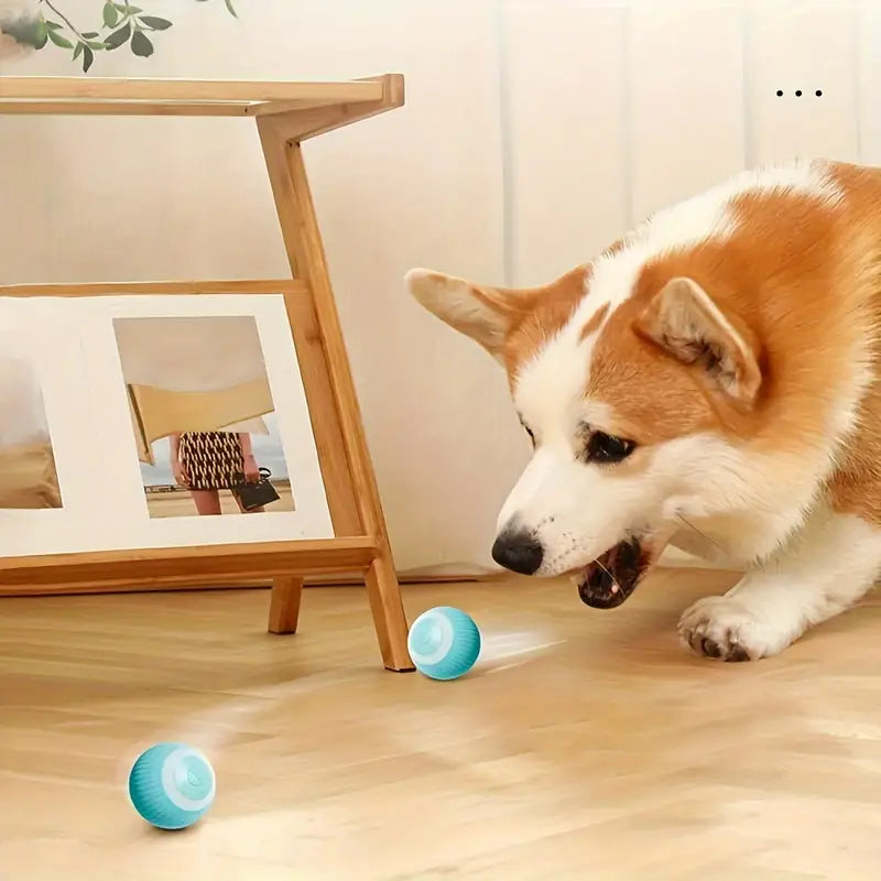 Fifi | Interactief Speelgoed Voor Honden En Katten-3
