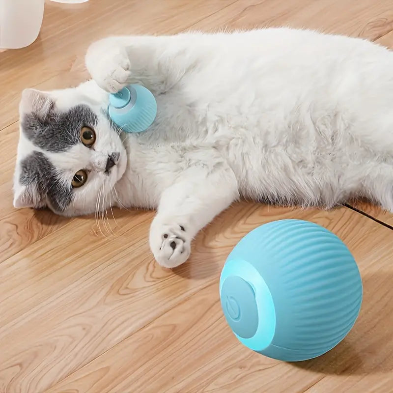 Fifi | Interactief Speelgoed Voor Honden En Katten-1