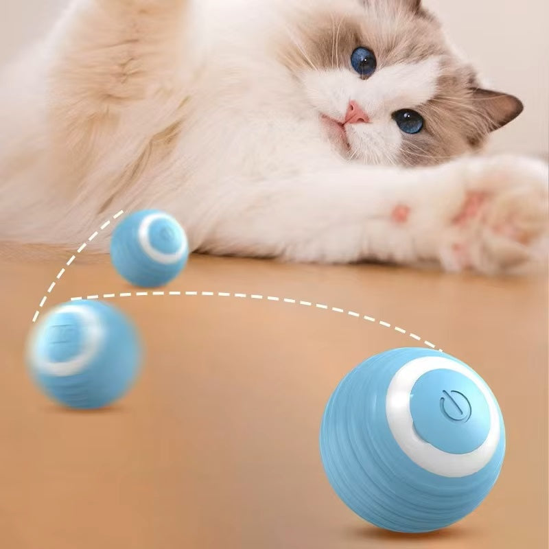 Fifi | Interactief Speelgoed Voor Honden En Katten-4