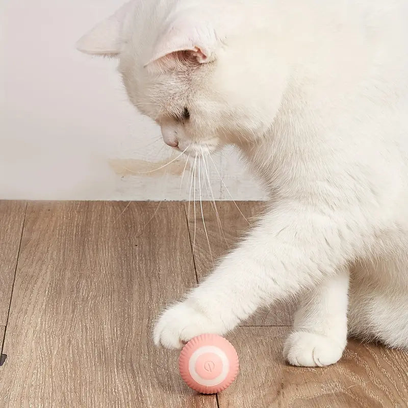 Fifi | Interactief Speelgoed Voor Honden En Katten-6