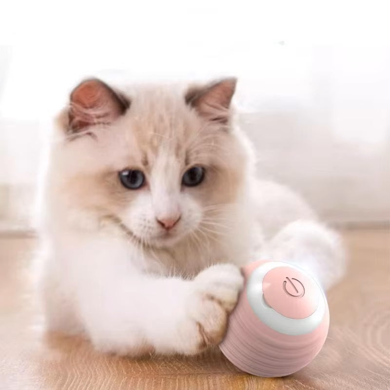 Variant image for Fifi | Interactief Speelgoed Voor Honden En Katten-2