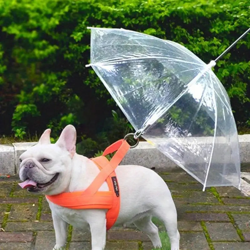 Finn | Hondenparaplu Voor Droge Wandeling-1