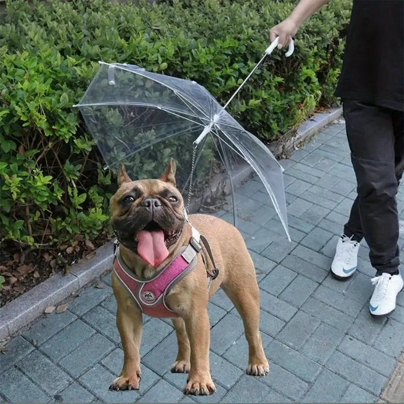 Finn | Hondenparaplu Voor Droge Wandeling-6