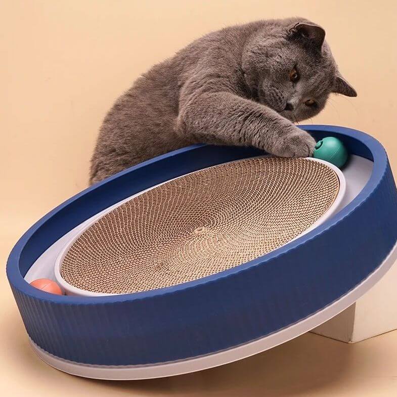 Glace | Kattenspeelgoed tegen krabben aan meubels