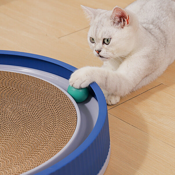 Glace | Kattenspeelgoed tegen krabben aan meubels