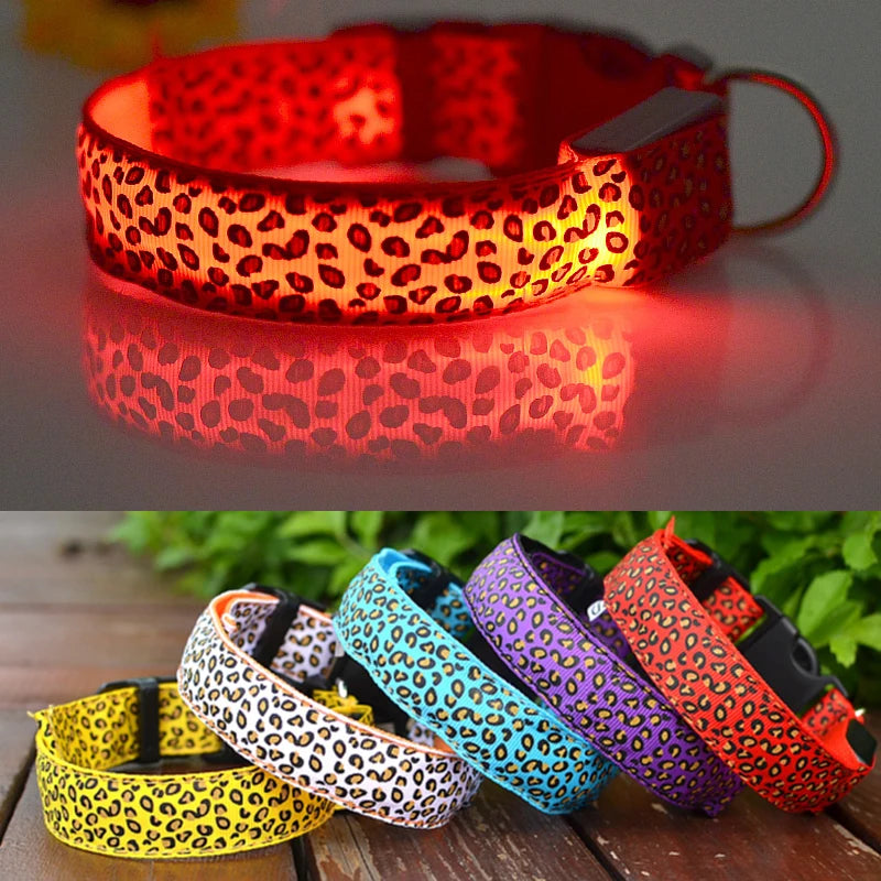 Hondenhalsband met LED-verlichting voor avondwandelingen | Lumera