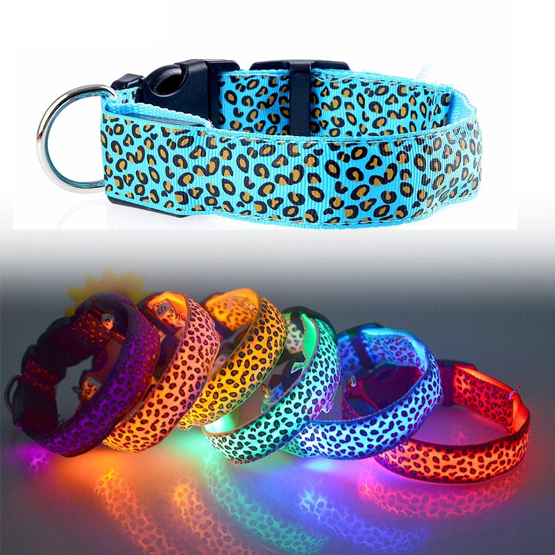 Hondenhalsband met LED-verlichting voor avondwandelingen | Lumera