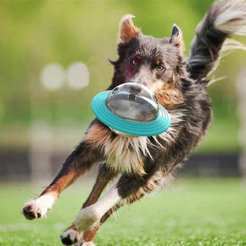 Javi Interactief UFO-vormig voerspeelgoed voor honden