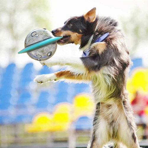 Javi Interactief UFO-vormig voerspeelgoed voor honden