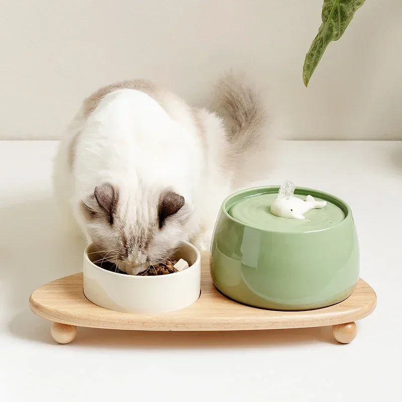 Momo | katten fontein met elegant ontwerp-2