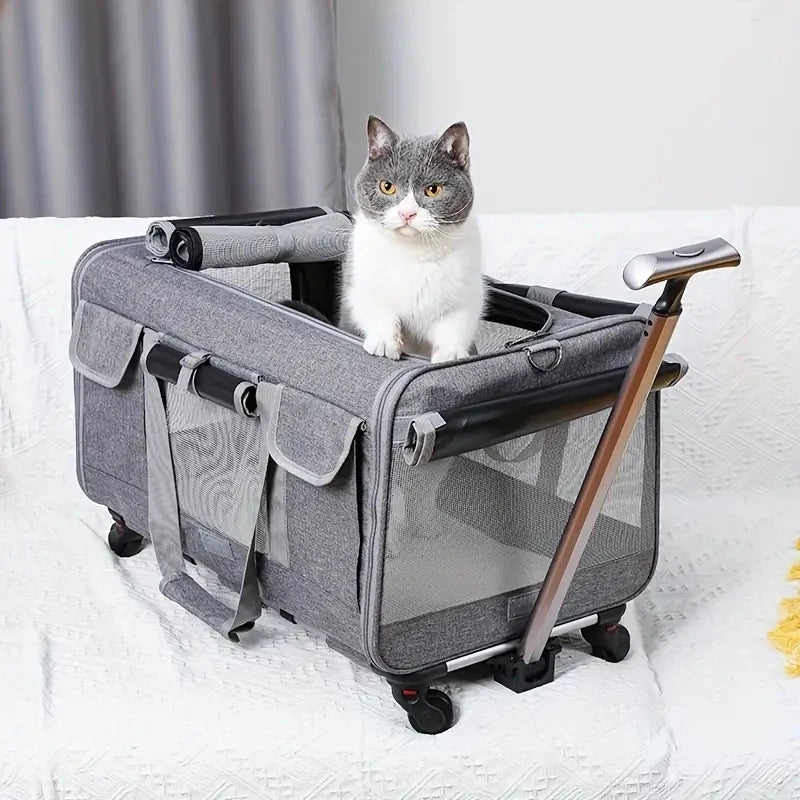 Kattenbuggy met dubbele compartimenten voor vervoer | Felano