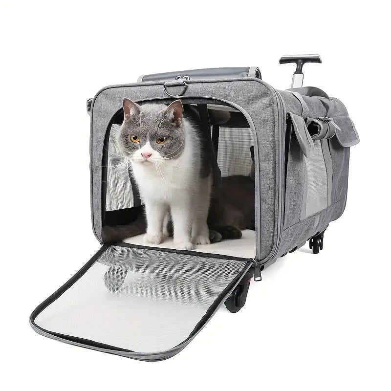 Kattenbuggy met dubbele compartimenten voor vervoer | Felano