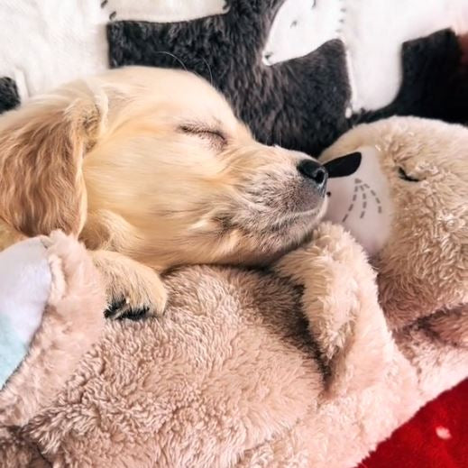 Lilo Troostgevend hondenspeeltje met realistische ademhaling