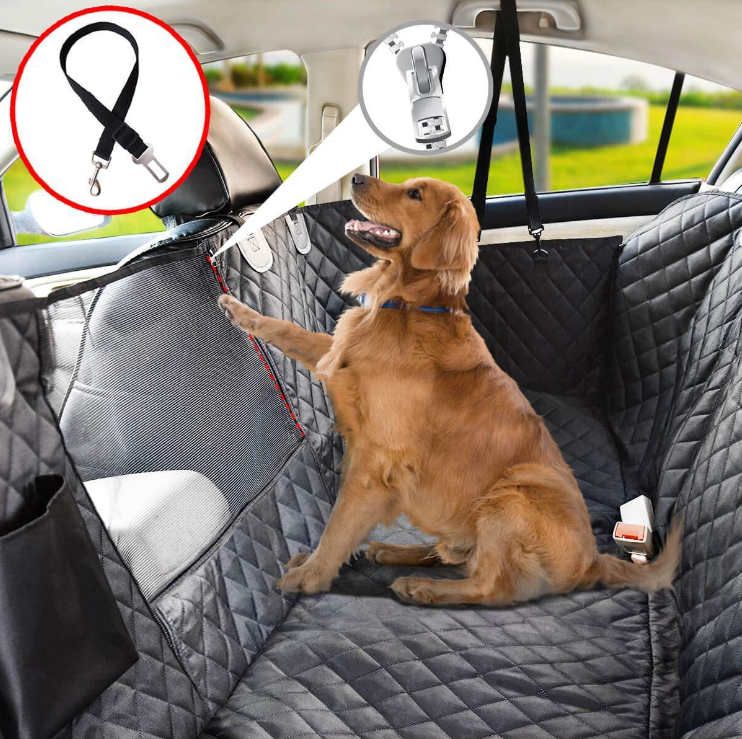 Lola | Achterbankbescherming voor honden in de auto-2