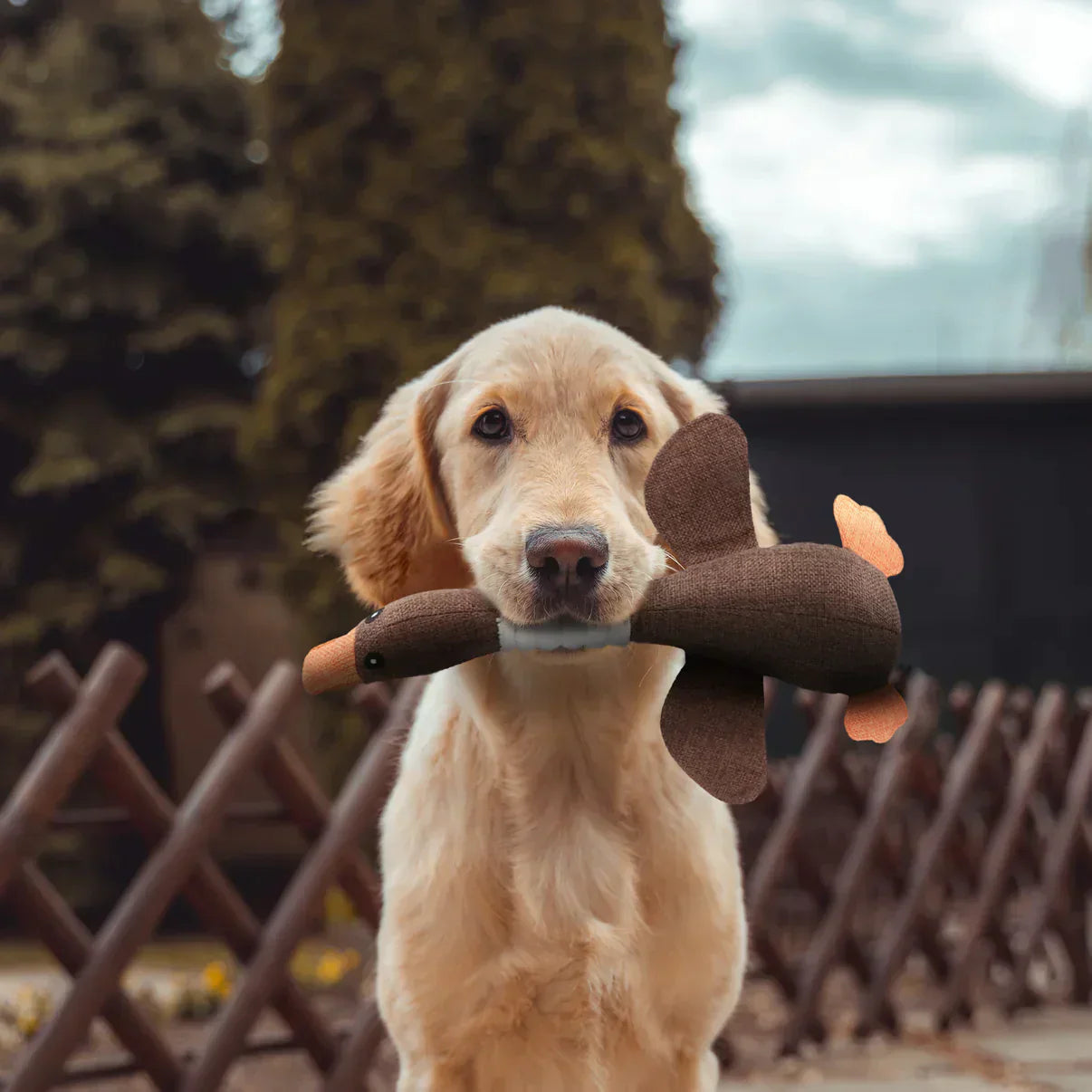 Luna Stevig kauwspeelgoed voor honden