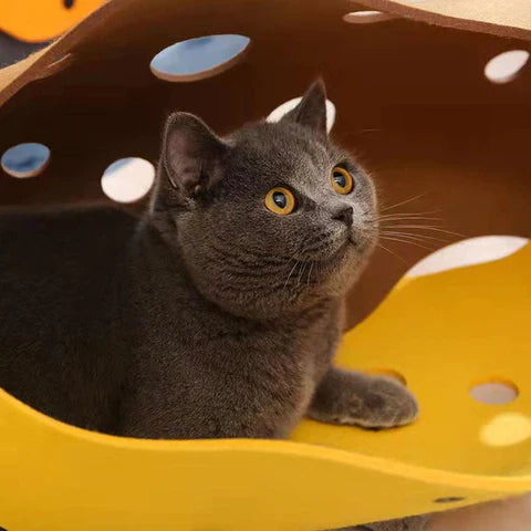 Muck | Interactief kattenspeelgoed voor katten-2