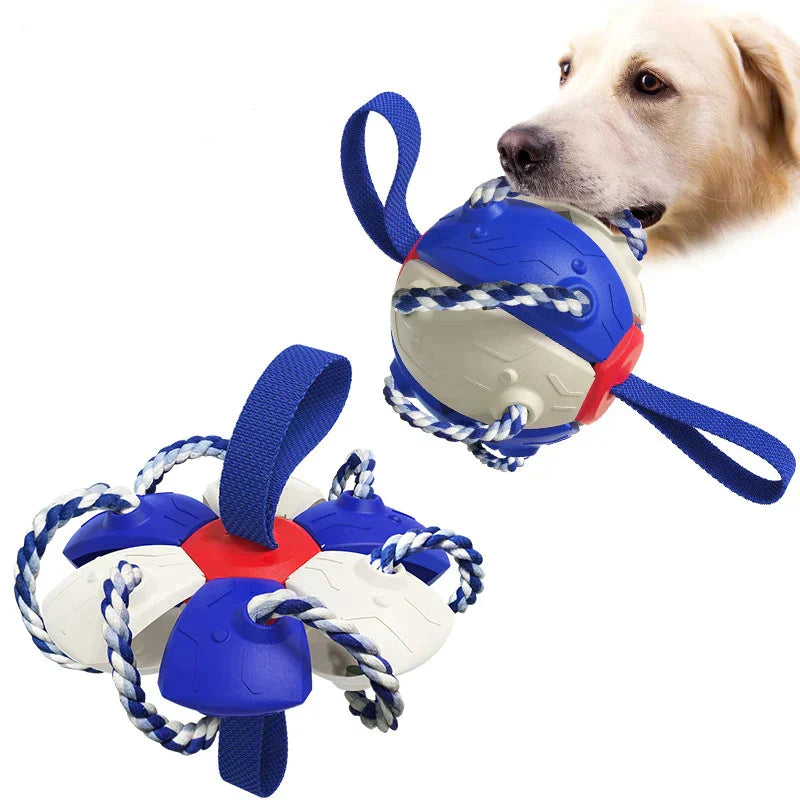 Variant image for Nibbit | Duurzame hondenbal voor eindeloos speelplezier-4