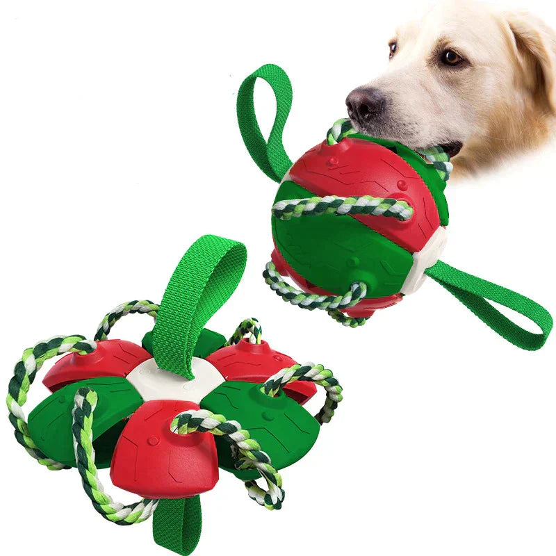 Variant image for Nibbit | Duurzame hondenbal voor eindeloos speelplezier-5